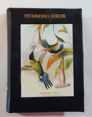 Item #18361 Humming-Birds. Mary and Elizabeth Kirby