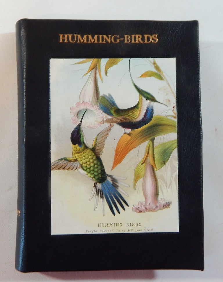 Item #18361 Humming-Birds. Mary and Elizabeth Kirby.