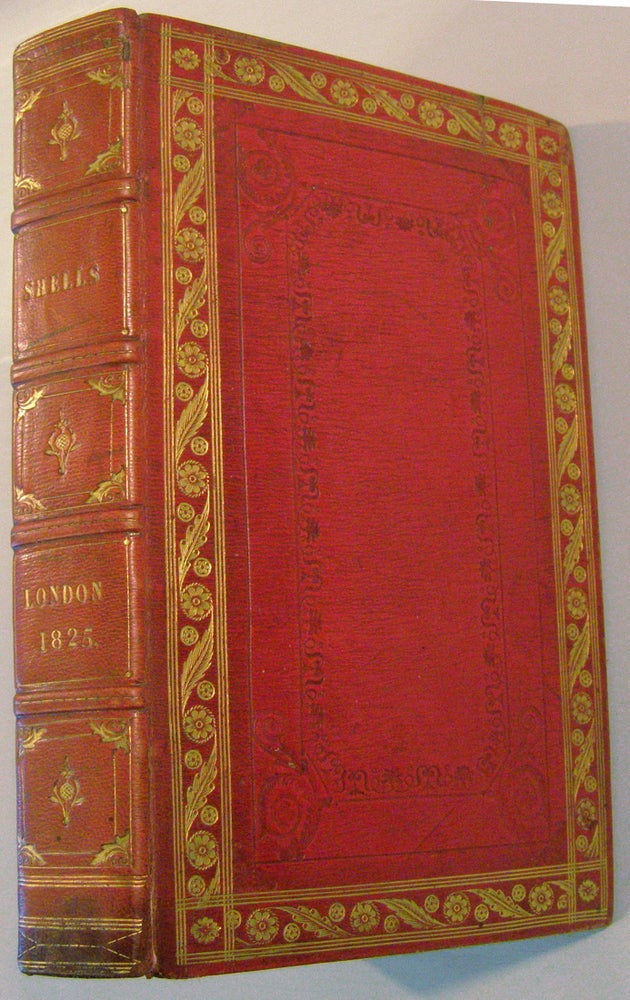 Item #18729 Index Testaceologicus; Or A Catalogue of Shells, British and Foreign, Arranged According to The Linnean System;; With the Latin and English Names, References to Authors, and Places Where Found. W. Wood.