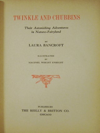Twinkle and Chubbins: Their Astonishing Adventures in Nature-Fairyland
