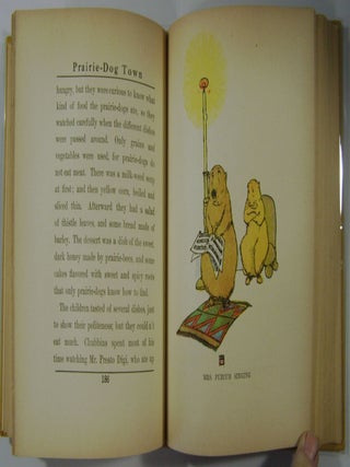 Twinkle and Chubbins: Their Astonishing Adventures in Nature-Fairyland