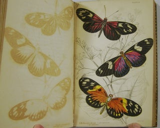 The Natural History of Foreign Butterflies