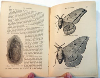 Silkworms. A Complete Treatise on the Mulberry-Leaf and Oak-Leaf Silkworms