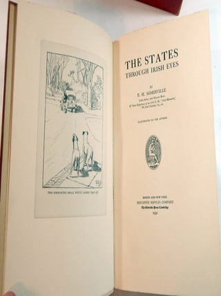 The States Through Irish Eyes
