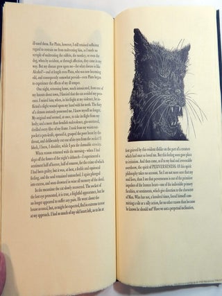 The Black Cat