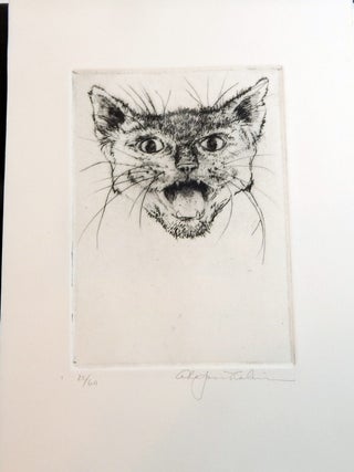 The Black Cat