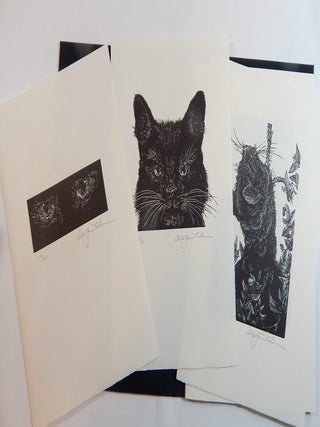 The Black Cat