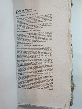 Yerbas Poderosas