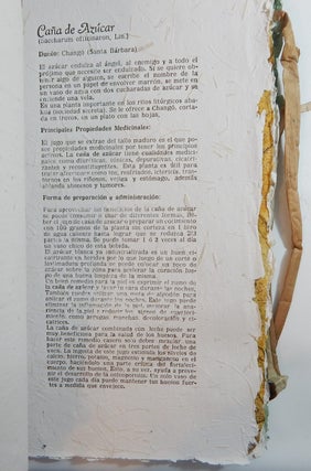 Yerbas Poderosas