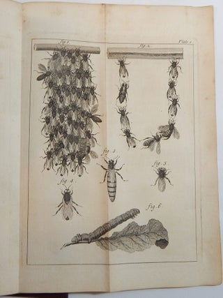 The Natural History of Bees, Containing an Account of their Production, their Oeconomy, the Manner of Making Wax and Honey, and the Best Methods for the Improvement and Preservation Them