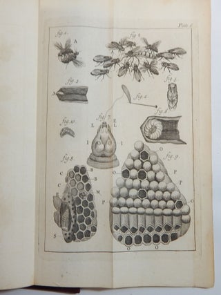 The Natural History of Bees, Containing an Account of their Production, their Oeconomy, the Manner of Making Wax and Honey, and the Best Methods for the Improvement and Preservation Them