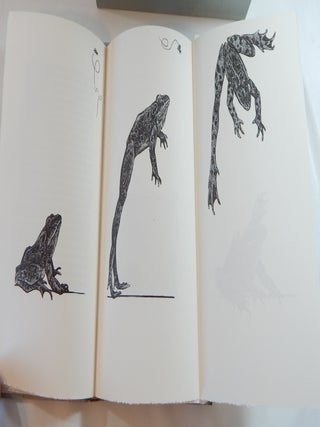 The Jumping Frog