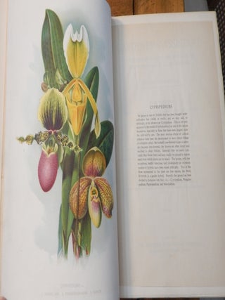 The Gardener's Assistant : a Practical and Scientific Exposition of the Art of Gardening in All Its Branches : Volume I + II